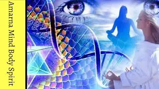 Sirian Light Language | POWERFUL Chakra and Memory Activation | Raise Your Vibration