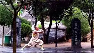 Shaolin Lao Tong Bi Quan Luohan Hu Shen Chui by Master Shi Miao Zhi of Shaolin Gongfu Madrid
