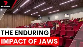 The lasting legacy of Jaws, 50 years on | 7NEWS