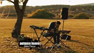 Autumn leaves - Max Perov