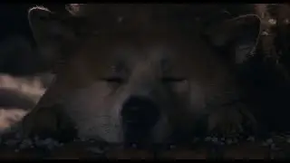 Hachi's last moments (Movie clip) 