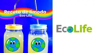 Receta de Limonada by Eco Life