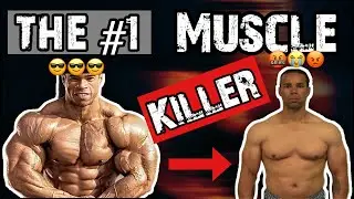 HOW TO LOWER MYOSTATIN - TOP 10 MYOSTATIN BLOCKERS - NUCLEUS OVERLOAD & SUPPLEMENTS - SCIENCE BACKED