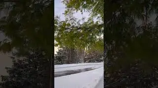 ❄️ Snow Flash Slow Motion 🌨️ Cinematic Snowfall in 4K Slowmo | Aesthetic Winter Magic