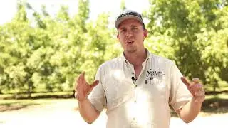 Cover Crops on an Almond Orchard in Transition to Regenerative Practices with Rory Crowley