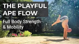 Playful Ape Flow - Intermediate Flow for Full Body Strength, Mobility, & Balance