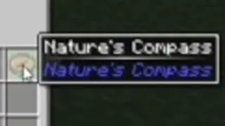 All The Mods 10 - How to Make a Nature's Compass