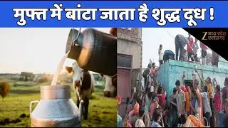 Religious Mystery : अंधविश्वास या आस्था.. क्या है रहस्य ? | Latest News | Hindi News | Zee MPCG