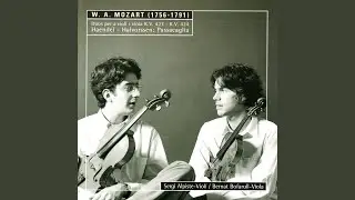 Duo for Violin and Viola in B Major, K. 424 II. Andante cantabile