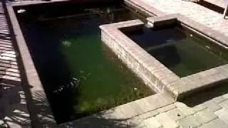 Pool RX