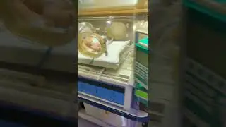 NICU #baby  #neonates #nicu #child #babyvideos #incubator #viral #medical #shorts #kids
