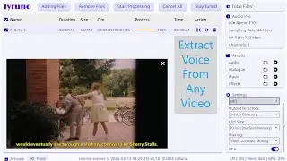 Extract voice from any video using lyruno