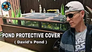 Pond Protective Cover ( David's Pond )