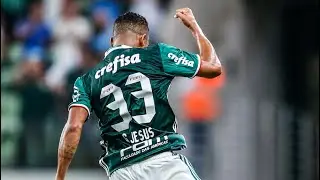 Gabriel Jesus Overall 2016 ● Palmeiras and Brazil
