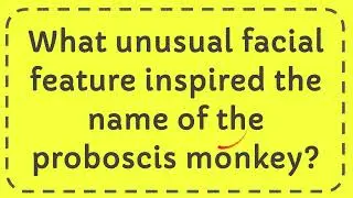 What unusual facial feature inspired the name of the proboscis monkey?