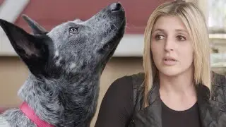 Ailing Woman Receives a Helper Dog
