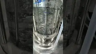 BaiLun 5L Triple parallel glass bioreactor BLIO-GJ  #bioreactor #fermenter