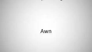 How to say Awn in English?