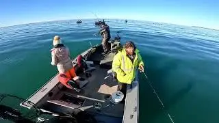 LAKE ERIE JUMBO PERCH JIGGING, FISHING CHARTER!!!