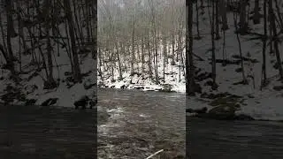 Calming sound #christmas #trending #trendingshorts #trend #trendingvideo #water #river