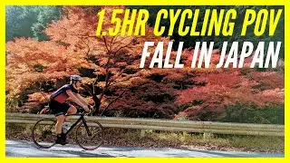 Falling Leaves Autumn Cycling in Japan | 1.5 HR POV | HD 1080P ASMR Bike Ride