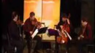 Turtle Island String Quartet - Live Performance at Music Festival (part 1)