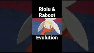 Riolu & Raboot evolution #shorts #pokemon