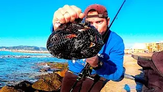 PESCA con MEJILLON [ Pêche aux moules, pesca delle cozze ]