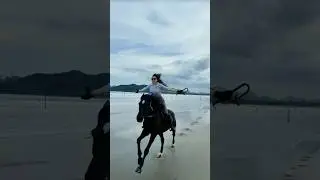 Ji Na Lge Bin Tere Yara ll Black Horse Riding ll #lorastyrell #brokenhorses #thewrens #shortsfeed