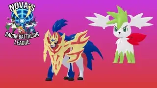 I DRAFTED TWO BROKEN POKEMON!! NBBL ACADEMY DRAFT ANALYSIS