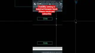 Visibility Setting Dynamic Block In AutoCAD