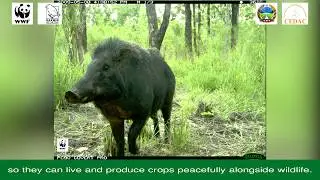 Safeguarding a Critical Biodiversity Conservation Corridor in Cambodia&rsquo;s Eastern Plains Landscape