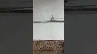 Just the luck&rsquo; #fishing #funny #rain This is a joke. I fish in the rain.