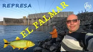 PALMAR 2025   EN BUSCA DE LOS  GRANDES DORADOS