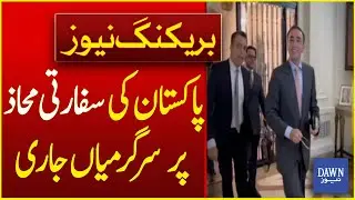 Active on All Fronts: Pakistan&rsquo;s Diplomacy in Motion | Breaking News | Dawn News
