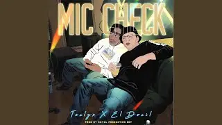 MIC CHECK