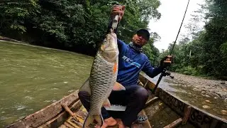 MANCING CASTING IKAN HAMPALA DI SUNGAI HULU ARUS DERAS PEDALAMAN KALIMANTAN TIMUR