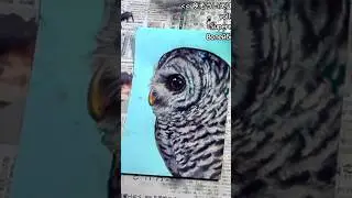 パステルアートでフクロウの横顔を描く方法 / How to Draw Owl Side Profile with Pastels #owl #bird #pastel #art #paint