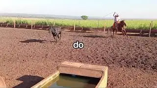 11 de janeiro de 2026
