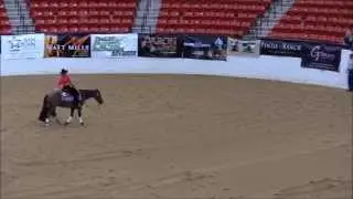 PEPPY TUM 2013 HRRC RESERVE MATURITY CHAMPION