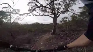 Shag Bay Tootles