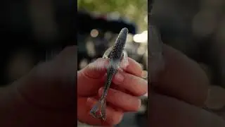 The Wait is Over | Introducing The Hondo 4.5 | 6th Sense Fishing