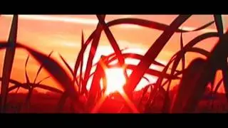 Eigenheimer - Uit De Kunst