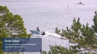S&auml;ffle fr&aring;n ovan. Sk&auml;rg&aring;rd