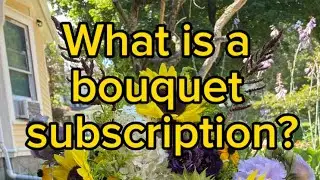 2024 Bouquet Subscription CSA