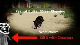Peanut Butter - Oh the Horror Challenge! - Episode 3: Angry Doggos, Fleas, Eviction