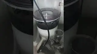 premier jour de test pour la nouvelle pompe Tunze stream 3 pour &eacute;cumeur