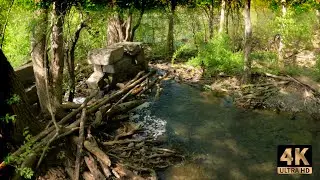 Clearing the blockage from a stream outlet at a local reservoir. 4K