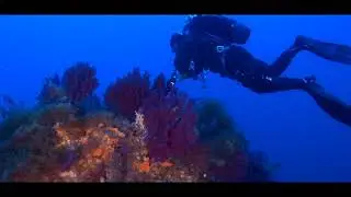 Sub da Strapazzo - Immersione AMP Capo Milazzo