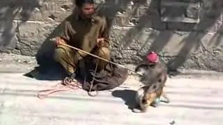 Ara basharat valley , interesting Bear Monkey Show in punjab Pakistan
